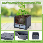 Lancisism 2 Pack Raised Garden Bed Tomato Planter with Trellis - 57" Self Watering Planter Box for Climbing Plants Vegetables Flowers - Garden Tomato Pots with Cage for Patio Greenhouse Indoor Outdoor - Image 4