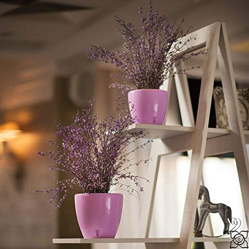 Gardenera 10.3" DECO Self Watering Pots for Indoor Plants in POPPY-RED - Decorative Flower Pot with Water Level Indicator and Drainage Cartridge for All House Plants, Flowers, Herbs and Succulents - Image 7