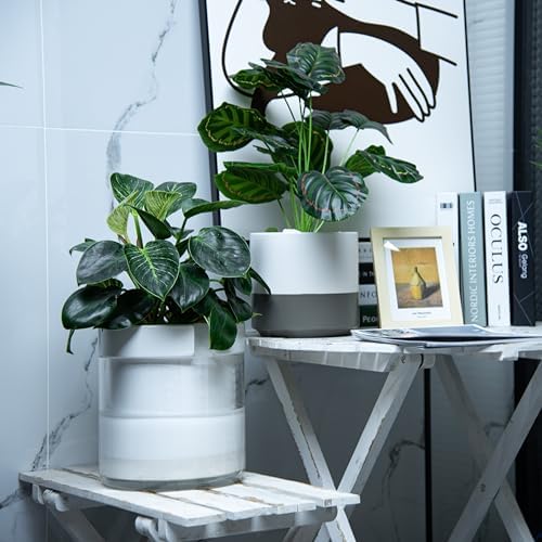 Phoenix Vine 8 Inch Self Watering Planter, White Terracotta Clay Pot with Glass Reservoir for Indoor Plants, Herbs, Flowers, Set of 1, 52-B-H-1 - Image 6