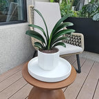 Plant Saucer for Indoors - 12 Inch Ceramic Plant Saucer Plant Water Catcher Tray Plant Pot Saucer Plant Drainage Tray, Durable Sturdy Flower Pot Saucers (Frosted White) - Image 5