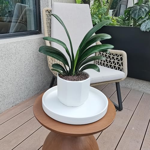 Plant Saucer for Indoors - 12 Inch Ceramic Plant Saucer Plant Water Catcher Tray Plant Pot Saucer Plant Drainage Tray, Durable Sturdy Flower Pot Saucers (Frosted White) - Image 5