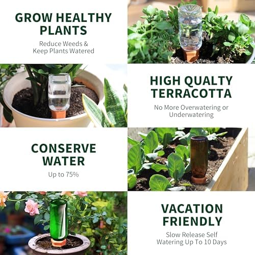 Soilagua Wine Bottle Watering Spikes, Terracotta Watering Spikes for Out | Indoor Plants, Self Watering Planter Insert, Vacation Plant Watering Devices, Clay Plant Watering Globes, 8-Pack - Image 6