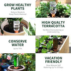 Soilagua Wine Bottle Watering Spikes, Terracotta Watering Spikes for Out | Indoor Plants, Self Watering Planter Insert, Vacation Plant Watering Devices, Clay Plant Watering Globes, 8-Pack - Image 6