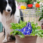 Self Watering Globes, Glass Automatic Watering Ball, Plant Watering Globes, Slow Release Irrigation Spike Suitable for Indoor Outdoor Potted Plants - Image 7