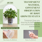 Wonderjune Self Watering Planter, 8.27'', Clear, 6 Pcs - Image 5