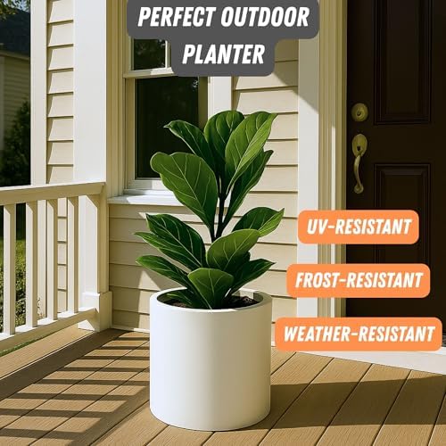 Fox & Fern Large Planter for Indoor or Outdoor, White Matte, 12 Inch - Image 5