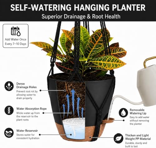3 Pack Large Hanging Planters for Indoor Plants with Macrame Plant Hangers - Image 3