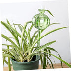 Happyyami 4pcs Cactus Shape Glass Watering Globe for Potted Plants - Image 2