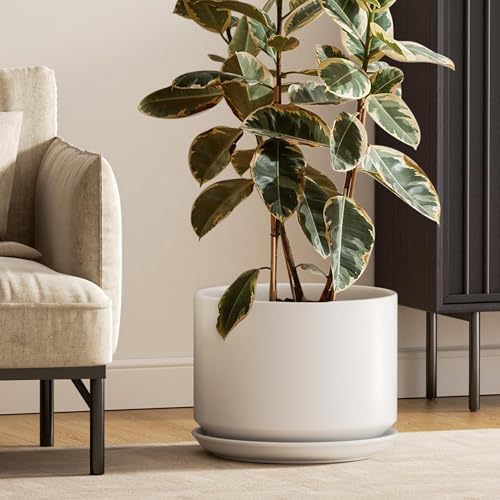 LE TAUCI 12 Inch Pots for Plants, Ceramic Planter with Saucer, White by LETAUCI