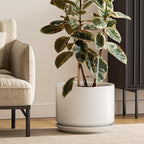 LE TAUCI 12 Inch Pots for Plants, Ceramic Planter with Saucer, White by LETAUCI