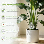 18 Oz Large Plant Watering Globes & Self Watering Bulbs, Water Globes & Bulbs for Indoor Outdoor Plants, Plant Globes Feeders for Watering Plants While Away & On Vacation 4-Pack - Image 3