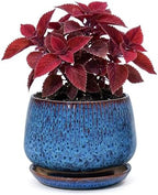 7.5 Inch Ceramic Planter with Saucer,Modern Garden Pots with Drainage Hole Mesh Net, for Indoor Outdoor Use (Speckle Blue) by Unknown