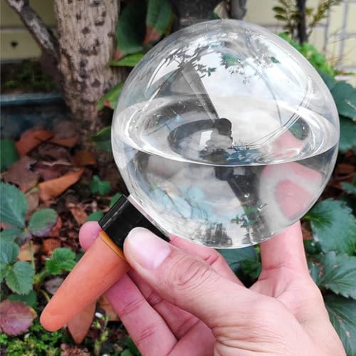 Automatic Plant Watering Globes 500ML Top Fill Drip Irrigation - Image 3