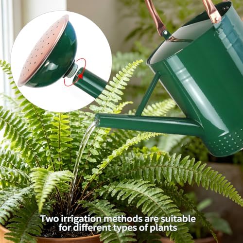 2 Gallon Meltal Garden Watering Can Removable Spout, Galvanized Steel Large Water Can with Embossed Design for Outdoor Indoor Plants (Green, 2 Gallon) - Image 3