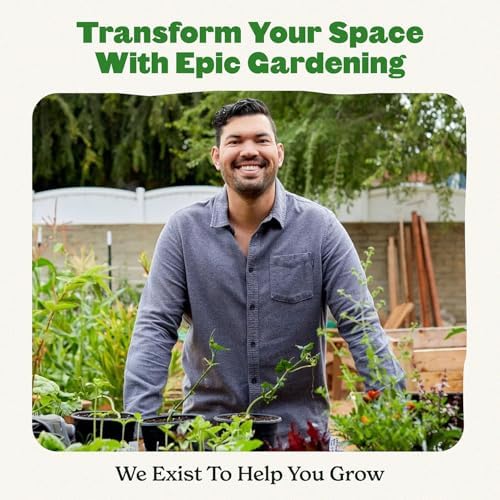 Epic Gardening 6-Cell Seed Starter Tray - 12 Trays - Black - Image 3