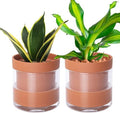 Phoenix Vine 6 Inch Self Watering Planter Pot, Terracotta Clay Pot with Glass Reservoir for Indoor Plants, Herbs, Flowers, Set of 2, 52-A-F-2 by Phoenix+Vine
