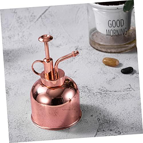 Vintage Stainless Pump 300ml Can Watering Mister, with Steel Plant - Image 3