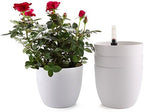 T4U 7 Inch Plastic Self Watering Planter with Water Level Indicator White Set of 4, Modern Decorative Planter Pot for All House Plants, Flowers, Herbs, African Violets, Succulents by T4U