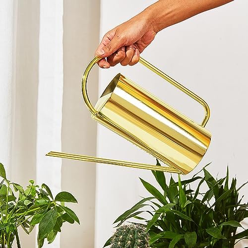 HERCHR Watering Can, Watering Can Indoor Metal Watering Can with Long Spout Watering Can for Plants Mini Watering Can Long Spout Water Can(Gold) - Image 2