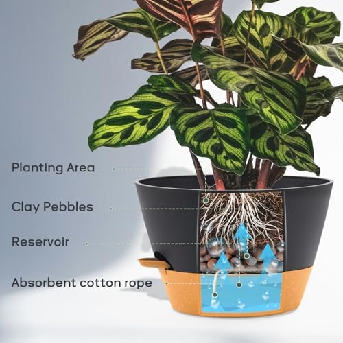 12 Inch Self Watering Pot with Visual Water Window, Drainage Holes & Watering Lip, Set of 3 Large Plastic Planters for Indoor Outdoor Plants, Modern Decorative Flower Pot (Grey) - Image 4