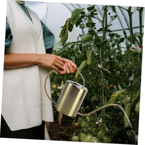 Totority Stainless Steel Watering Kettle Long Spout Pot for Indoor Outdoor Plants Gardening with Ergonomic Handle Practical Brass Watering Can for Home Use - Image 5