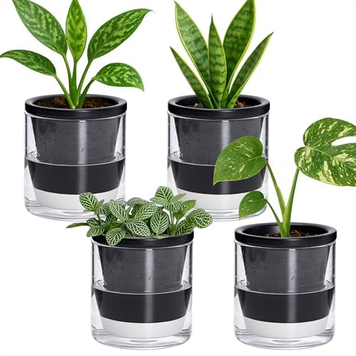 D'vine Dev Self-Watering Black Terracotta Planter, 4 in, 4-Pack, 37-Z-A-3-F by DvineDevPlanterPotsandStand