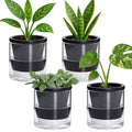 D'vine Dev Self-Watering Black Terracotta Planter, 4 in, 4-Pack, 37-Z-A-3-F by DvineDevPlanterPotsandStand
