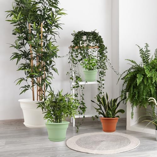 Pottiffe Plant-Pots-Planters-Indoor-Outdoor, 16 inch 4 Pack Terracotta - Image 6