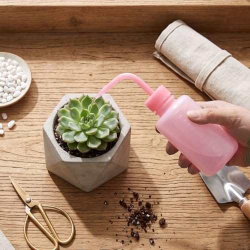 Asixxsix 18PCS Wash Bottle, 150ml LDPE Indoor Plant Watering Can Squeeze Bottle with Narrow Mouth and Scale for Indoor Watering Tools Cleaning Washing - Image 3