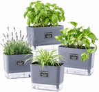 Self Watering Planters 4 Pack, 7 Inch Rectangle Plant Pots with Visible Water Reservoir, Indoor Outdoor Herb Planter Boxes for Windowsill，African Violets，Succulents，Flowers，Kitchen，Office，Balcony Gray by FAMZ