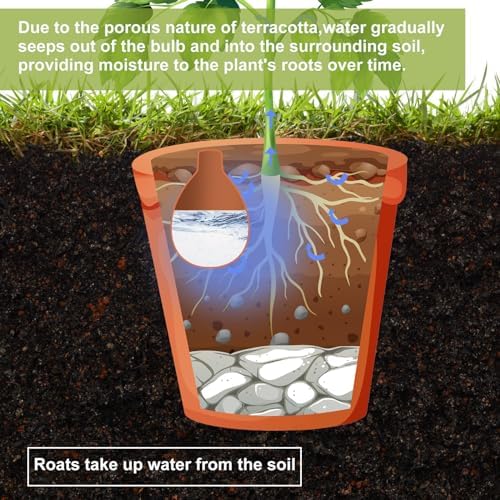 Blushtier 4 Pcs Terracotta Watering Pots Olla Self Watering with Lid 34 oz - Image 5