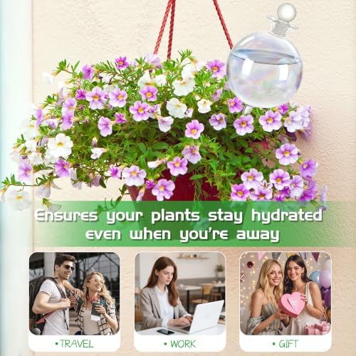 17 oz Extra Large Plant Watering Globes, Glass Self Watering Globes, Rainbow Gradient Self Watering Planter Insert, Watering Bulbs, Automatic Plant Waterer for Indoor Outdoor Plants (4 Pack) - Image 4
