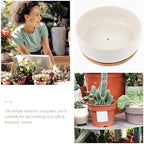 Tofficu White Ceramic Bonsai Plant Pot with Tray, Round Succulent Planter Pot for Small Plants, Prevent Over-Watering and Overflow, for Home and Balcony Gardening - Image 3