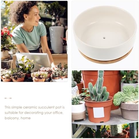 Tofficu White Ceramic Bonsai Plant Pot with Tray, Round Succulent Planter Pot for Small Plants, Prevent Over-Watering and Overflow, for Home and Balcony Gardening - Image 3
