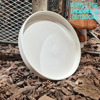 Ceramic Plant Saucer Pot Tray 14.5 Inch, Frosted White Planter Saucers 5 7 9 10 12 15 Inch for Indoors Outdoor, Flower Pot Saucers for Holding Water Drips and Soil - Image 2