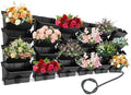 Vertical Wall Planter for Indoor Plant-Walls Mounted Pot with 6 Drainage Tray 24 Pack, with 6.56ft Drainage Pipe, for Decor, Plastic Pots Balcony Planters, Plants Hanging (24, Black) by kunghei