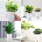 3" Self Watering Pots,20 Sets Self Watering Planter Pots for Indoor Plants with Water Level Indicator and Multiple Vents,Self Watering Planters,Self Watering Plant Pot for House Plants,Flowers,Herbs - Image 7