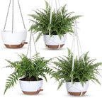 Sliner Set of 4-10 Inch Self Watering Hanging Planters Includes Hanging Pots and Outdoor Hanger Plant Pots with Drainage Holes 2 Types of Hanger Basket Hooks for Patio Garden(White Brown) by Sliner