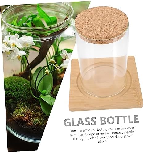 Cabilock Moss Eco Bottle Plant Propagation Terrarium Glass Succulent Jar Micro Landscape Container Watering Globes - Image 7