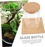 Cabilock Moss Eco Bottle Plant Propagation Terrarium Glass Succulent Jar Micro Landscape Container Watering Globes - Image 7