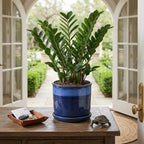 8 Inch Plant Pot: Ceramic Planter with Drainage Hole & Saucer - Flowerpot for Indoor & Outdoor Plants with Separate Tray for Home & Office - Blue - Image 4