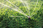 Rain Bird 22SAFPROPR Pressure Regulating (PRS) High-Efficiency Pro Rotary Sprinkler, 360° Full Pattern, 17' - 24' Spray Distance, 4" Pop-up Height (Pack of 2) - Image 4