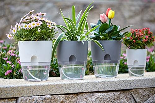 Self Watering Planter for Indoor Plants, 2 Pack 9.3 Inch Flower Pot Modern Decorative Plastic Planter with Extra Large Water Storage for All House Plants, Flowers, Herbs(Gray) - Image 3