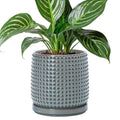 D'vine Dev Beaded Ceramic Pot with Saucer, 6 in, Graphite Blue, 27-C-X-9 by DvineDevPlanterPotsandStand