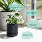Phoenix Vine 4 Inch Planter Pot with Drainage Hole & Saucer, Deep Water Catch Tray, Straight Cylindrical Round Pot for Plants, Matte Black, Pack of 6, 23-C-R-6 - Image 5