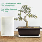 RooTrimmer 5 Pack Nursery Pot Tray, Carrying and Holding Plant Tray for Pot 24 Cell Carrying Holder Drainage Watering Plant Tray (White) - Image 6