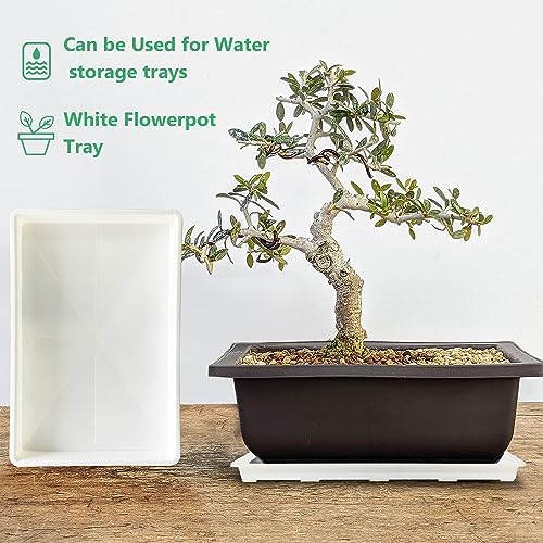 RooTrimmer 5 Pack Nursery Pot Tray, Carrying and Holding Plant Tray for Pot 24 Cell Carrying Holder Drainage Watering Plant Tray (White) - Image 6