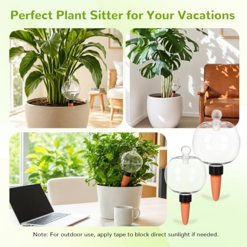Plant Watering Globes Top Fill Self Watering Globes Set - Image 7