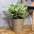 13.4" Self-Watering Wicker Planter, 13.4 Inch Round, Natural by Noeko