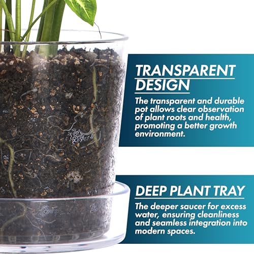 Phoenix Vine 12 Inch Clear Acrylic Planter Pot with Tray, Orchid Pot with Drainage Holes, Deep Saucer for Bottom Watering, Transparent Containers for Indoor Plants, Herbs, Set of 1, 91-A-I-1 - Image 4